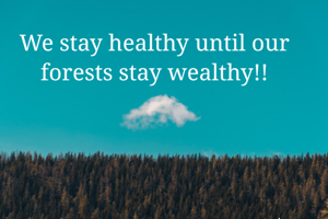 We stay healthy until our forests stay wealthy!!