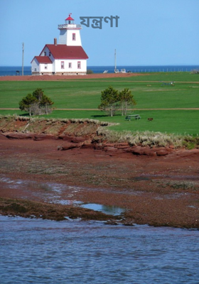 যন্ত্রণা