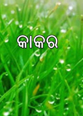 କାକର