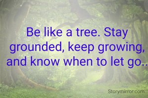 Be like a tree. Stay grounded, keep growing, and know when to let go..