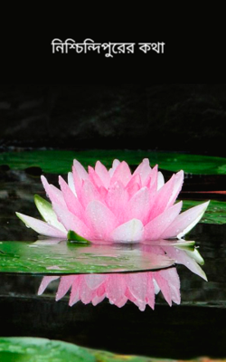 নিশ্চিন্দিপুরের কথা