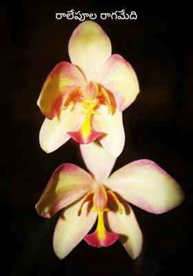 రాలేపూల రాగమేది