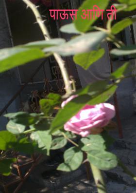 पाऊस आणि ती