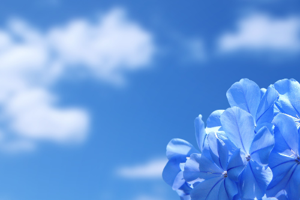 Logic will get you from A-Z,
Imaginations and Creativity
will take you everywhere.

- Albert Einstein