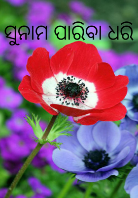 ସୁନାମ ପାରିବା ଧରି