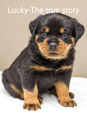 Lucky-The True Story