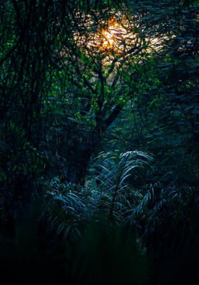 ଛାଇ ଆଲୁଅର ଖେଳରେ ଜୀବନ