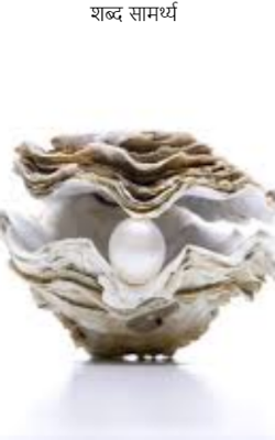 शब्द सामर्थ्य