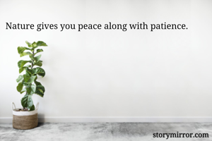 Nature gives you peace along with patience. 