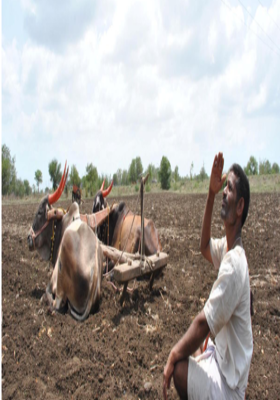 ମୌସୁମୀ ଆସିବ ବୋଲି