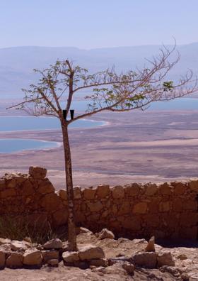 " मौसम की तरह परिवर्तन "