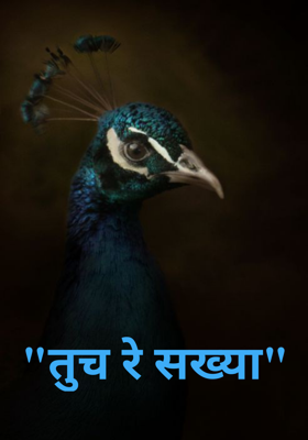 तूच रे सख्या