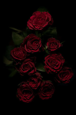 When Scufi Asked....