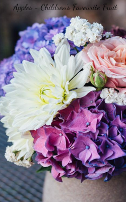 Apples - Children's Favourite Fruit