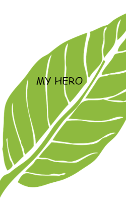 My Hero