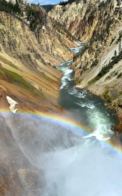 সুনামীর কাব্য