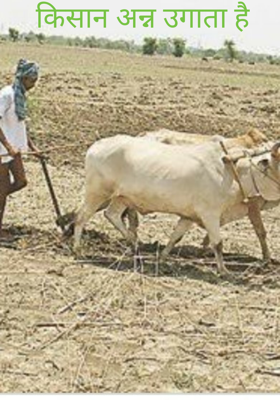 किसान अन्न उगाता है