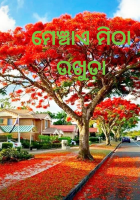 ମେଞ୍ଚାଏ ମିଠା ଉଖୁଡ଼ା