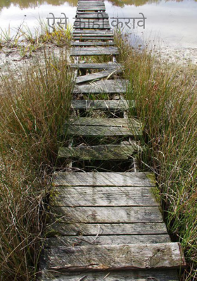 ऐसे काही करावे