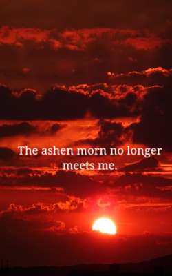The ashen morn no longer meets me.