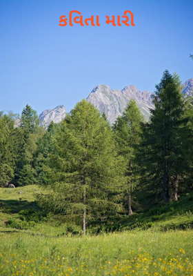 કવિતા મારી