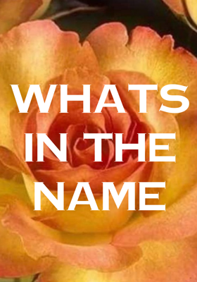 Whats In The Name