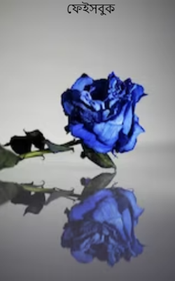 ফেইসবুক