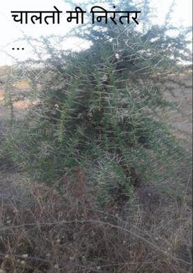 चालतो मी निरंतर ...