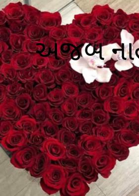 અજબ નાતો