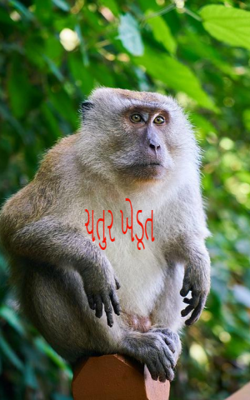 ચતુર ખેડૂત