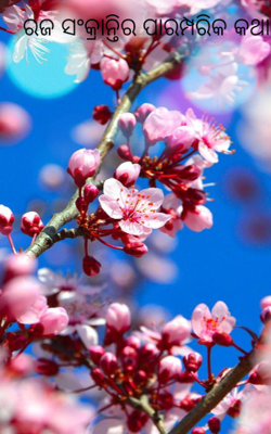 ରଜ ସଂକ୍ରାନ୍ତିର ପାରମ୍ପରିକ କଥା