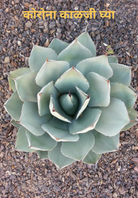 कोरोना काळजी घ्या