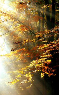 प्रेमाला बंधन नाही