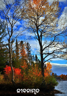 ଜୀବନାମୃତ