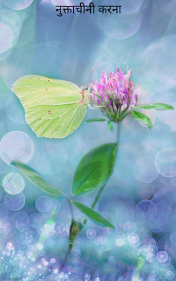 नुक्ताचीनी करना