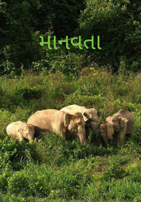માનવતા