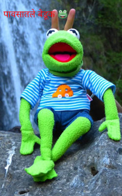 पावसातले बेडूक