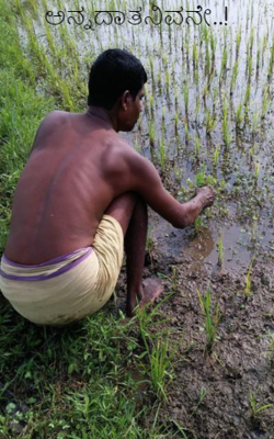 ಅನ್ನದಾತನಿವನೇ..!