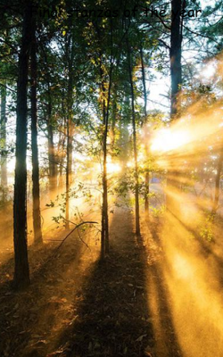 Final stanzas of the year