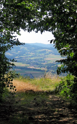 திருமந்திரம்