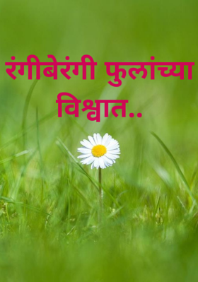 रंगीबेरंगी फुलांच्या विश्वात