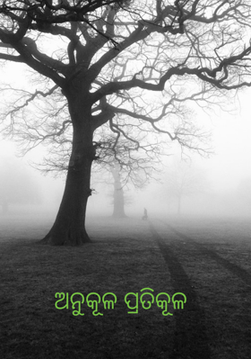 ଅନୁକୂଳ ପ୍ରତିକୂଳ