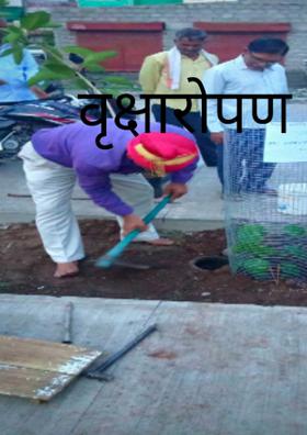 वृक्षारोपण