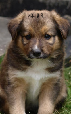 कौन हैं वे