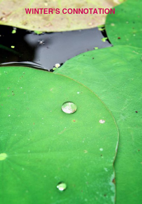 Winter's Connotation