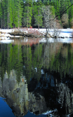 କାହାକୁ କହିବା ଦୋଷୀ