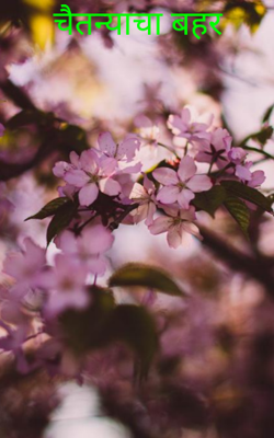 चैतन्याचा बहर