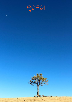 କୃତଜ୍ଞତା