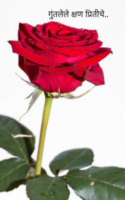 गुंतलेले क्षण प्रितीचे..