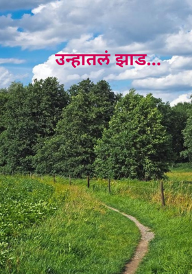 उन्हातलं झाड...